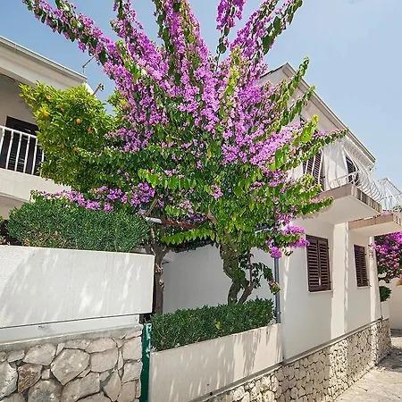 Studio Lavica.1